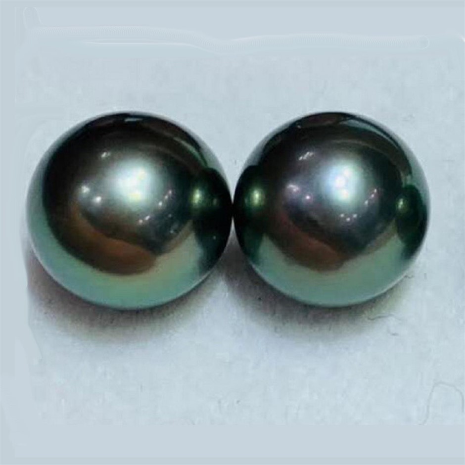 Natural Black Shell Pearl Stud Earrings