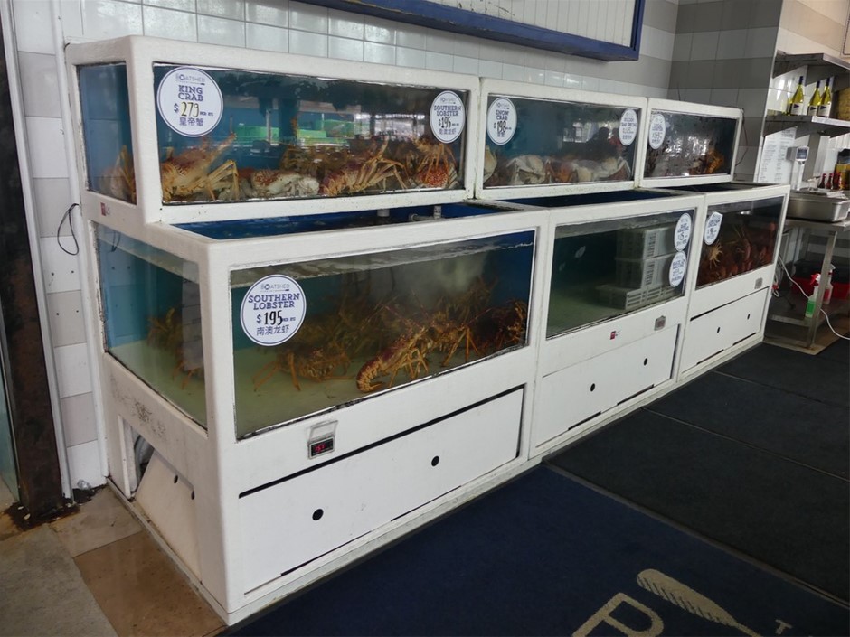 Live Seafood Holding System