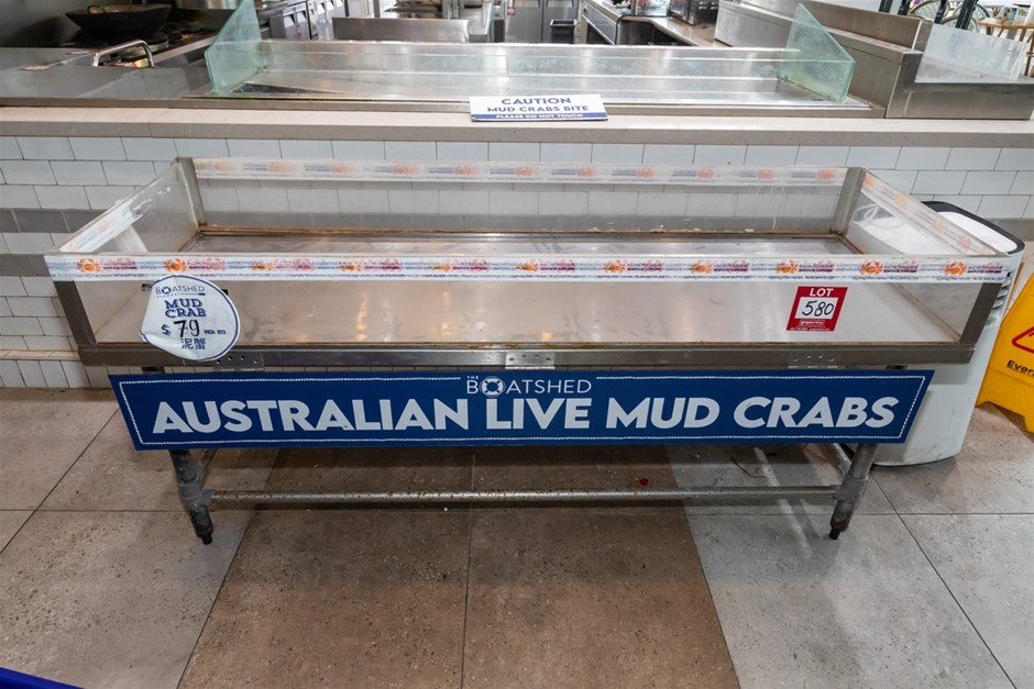 Live Mud CrabTank (Commercial)