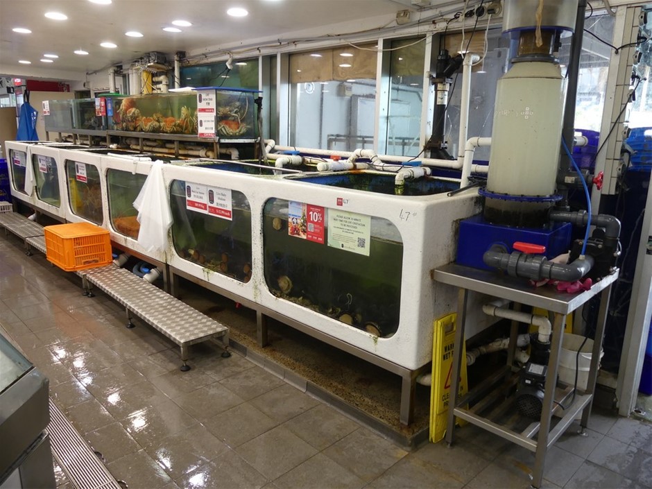 Live Seafood Holding System