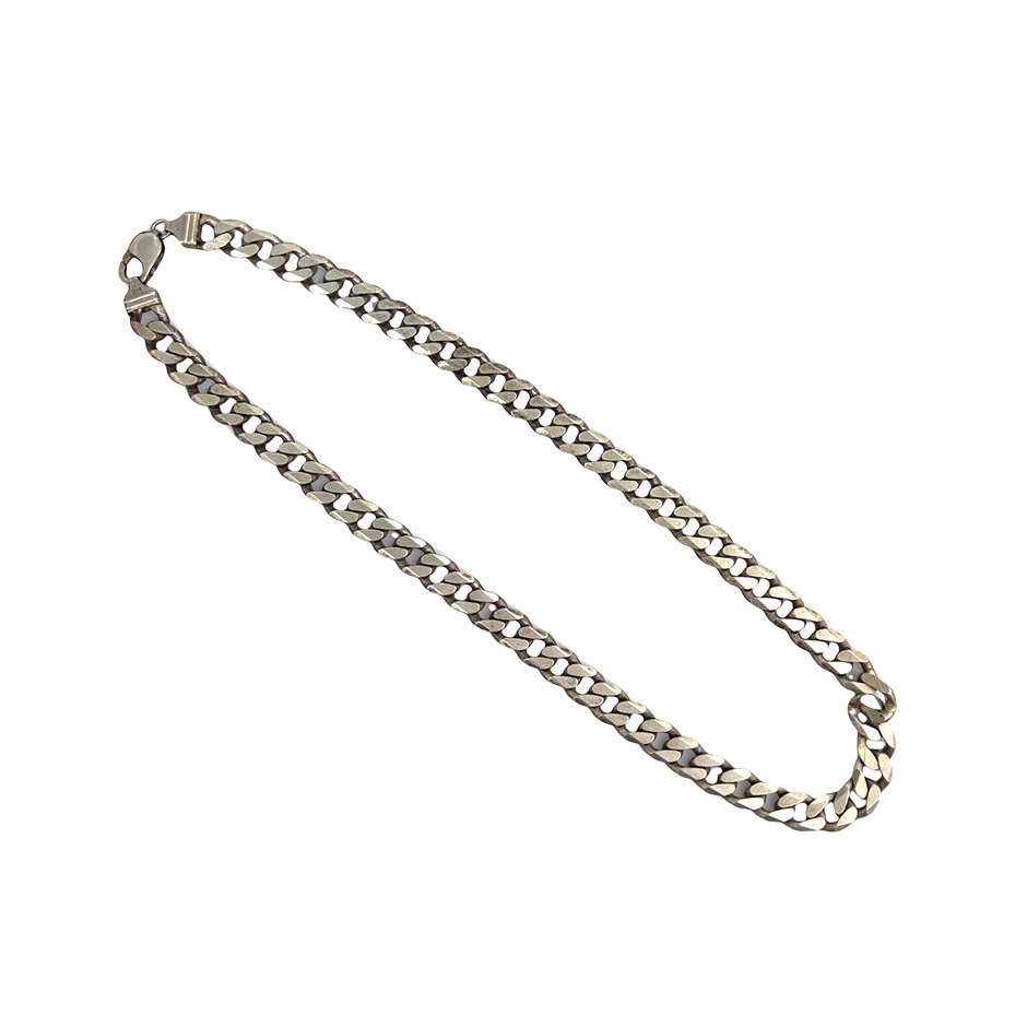 Sterling Silver Curb Link Necklace with Parrot Clasp