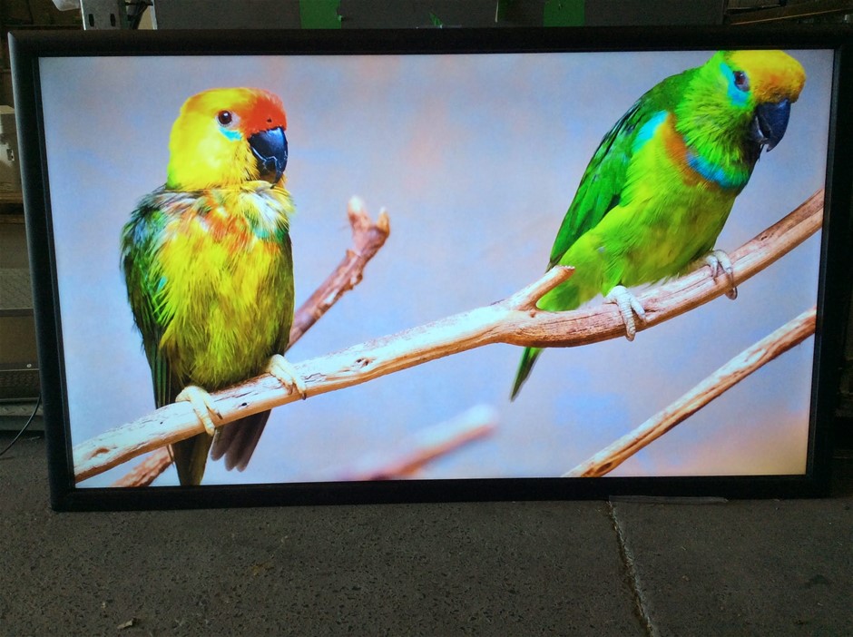 CommBox CM754KT Interactive Board