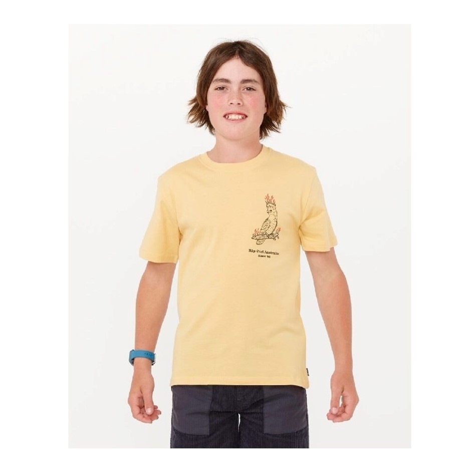 RIP CURL Boy's Flamin Galah T-Shirt, Washed Yellow, Size 10. RRP: $35.99.
