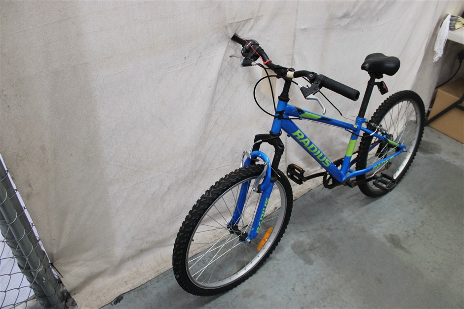 Radius Leopard Blue/Green Bicycle