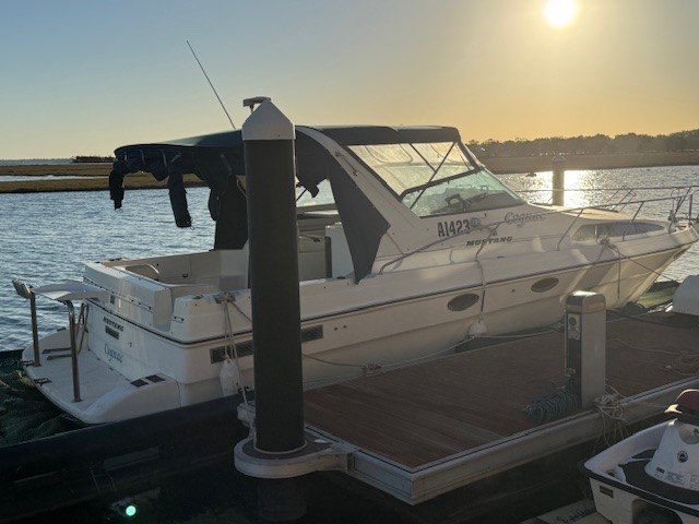 Mustang Pleasure 3400