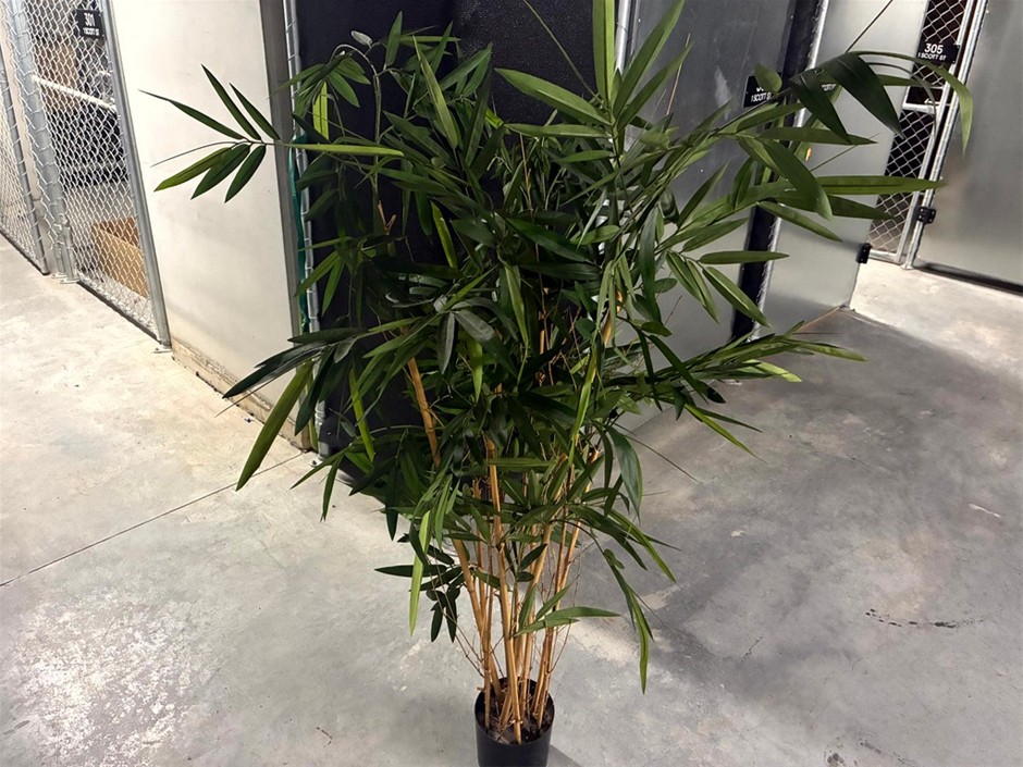 Faux Bamboo Trees, Qty x2