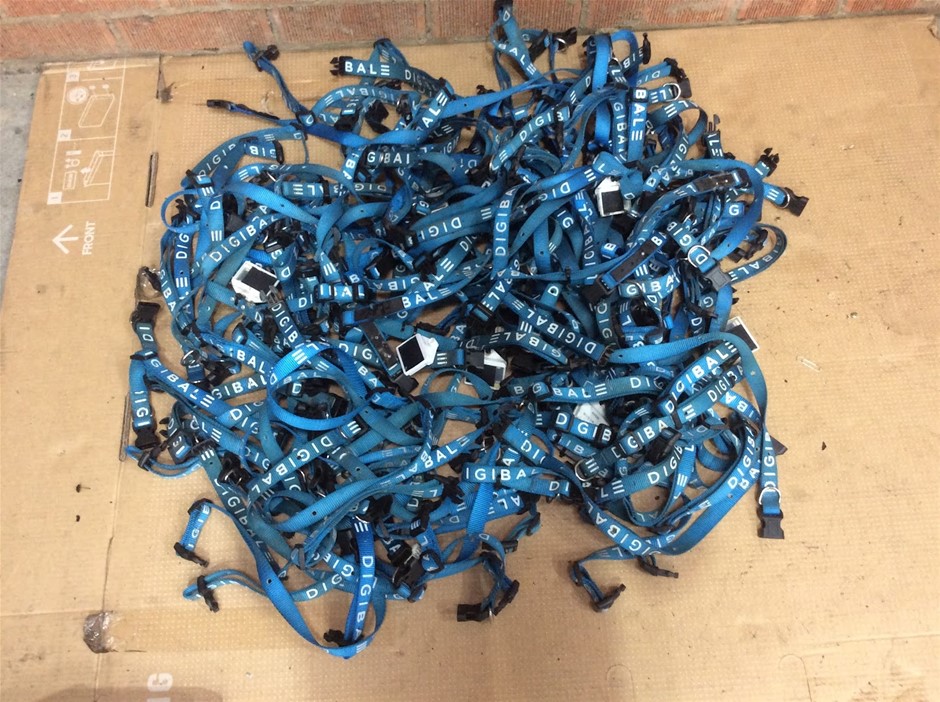 Digi ball Branded Event Lanyards With ID Holders