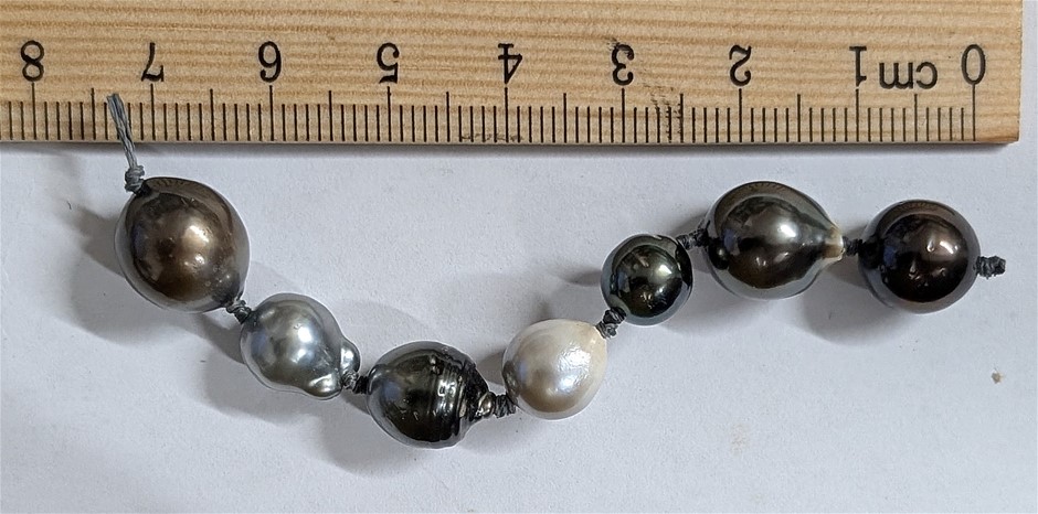 Seven Salt Water Tahiti Tahitian Pearls