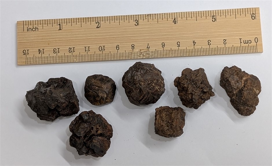 Seven Prophecy Stones From Egypt