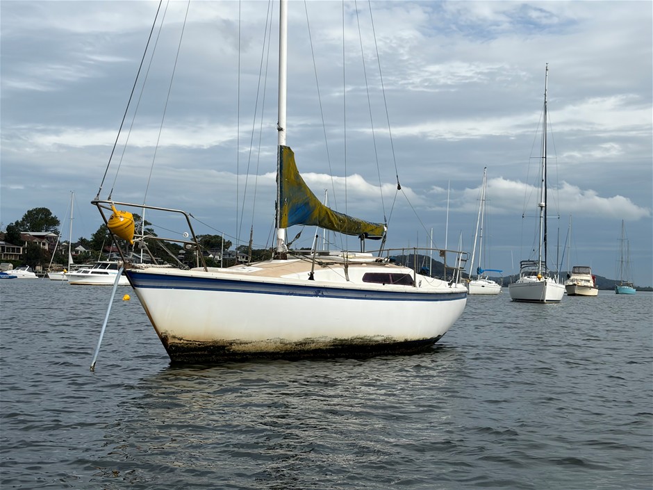 Cole 23 Sail Boat
