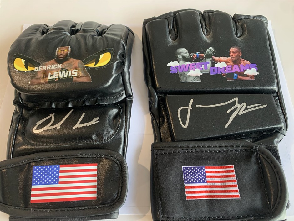 Lot of two autographed UFC/MMA gloves Hill , Lewis signed.