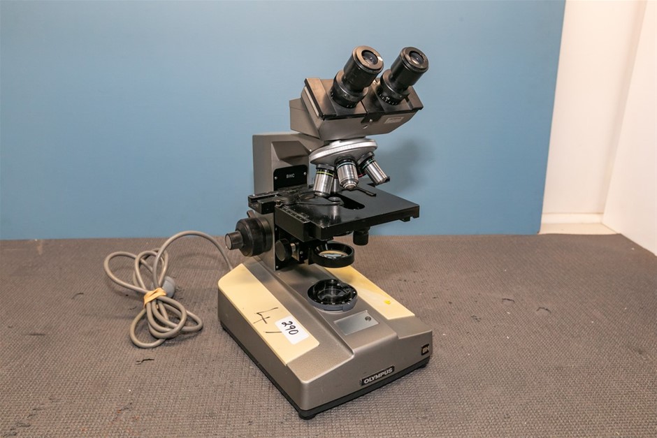 Microscope binocular