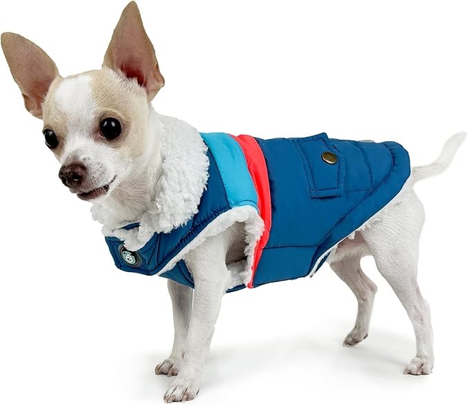 HUSKIMO Lightning Bolt Dog Coat, Blue, 40cm