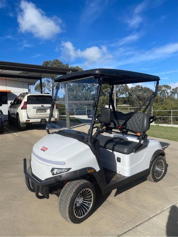 Deluxe 2-Seater Electric Golf Cart / Buggy(Unused)