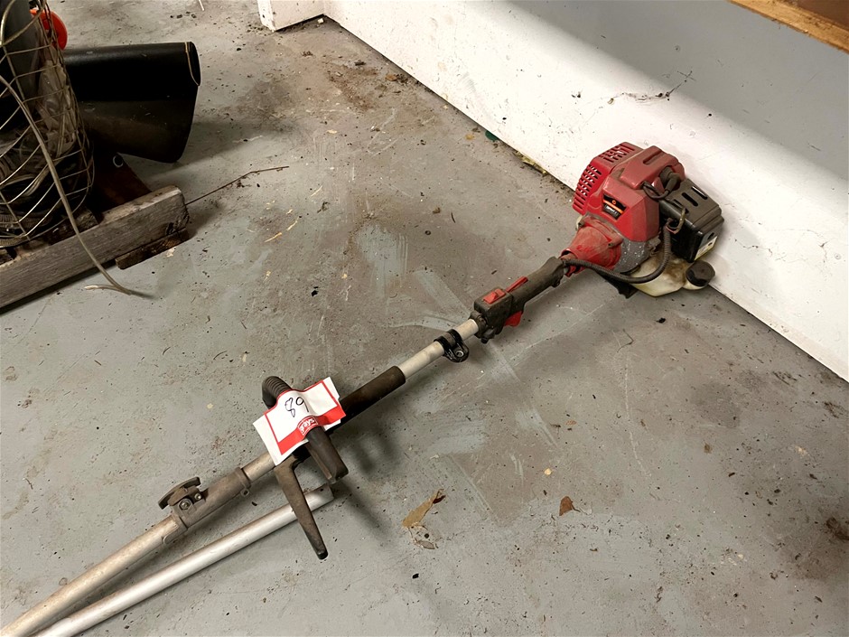 <p>Long Reach Pole Saw (62cc)</p>