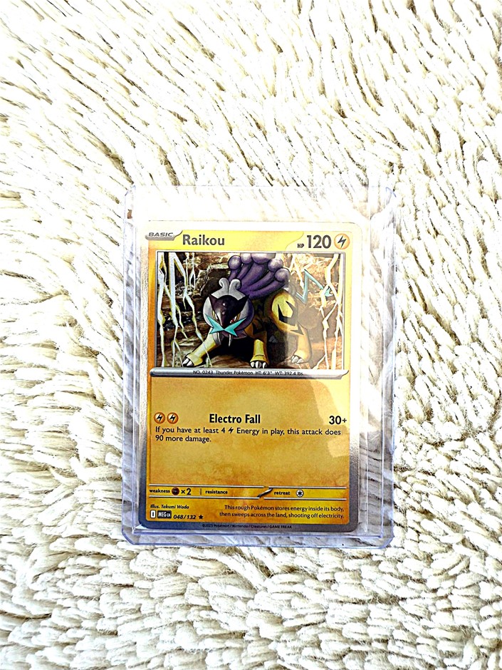 raikou 048/132 Holo Rare English