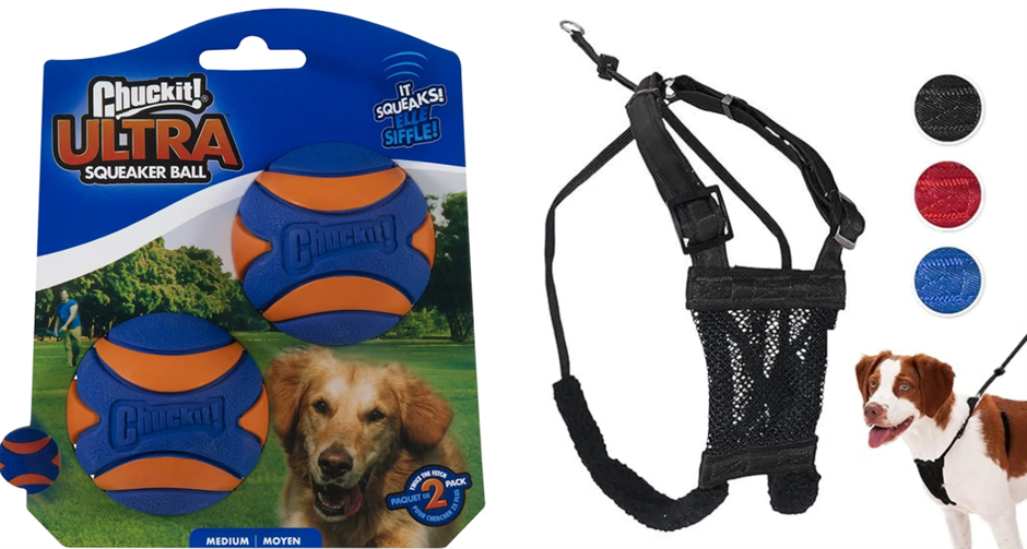 BUNDLE OF CHUCKIT! 33068 Ultra Squeaker - 2pk, Blue & Orange, Medium X SPOR