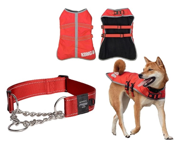 BUNDLE of 2: KONG Red Rip-Stop Blanket Coat for Dogs (Large) + MARTINGALE T