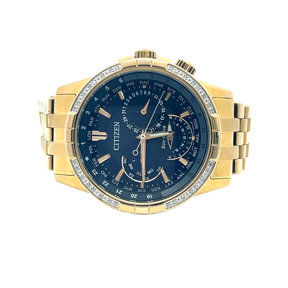 Citizen Eco-Drive World Time Watch