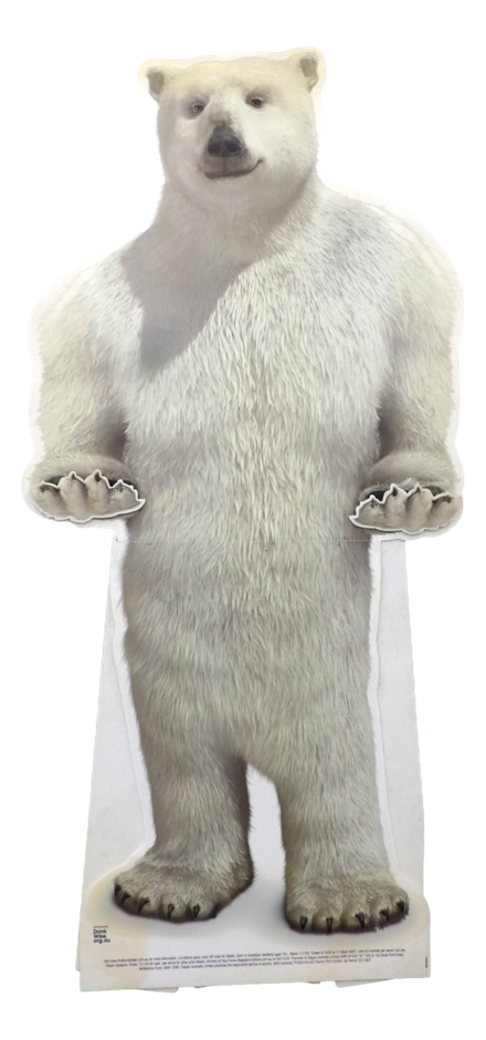 Sydney P/Up ONLY -  Bundaberg Standing Plastic Cut-Out 80x178cm