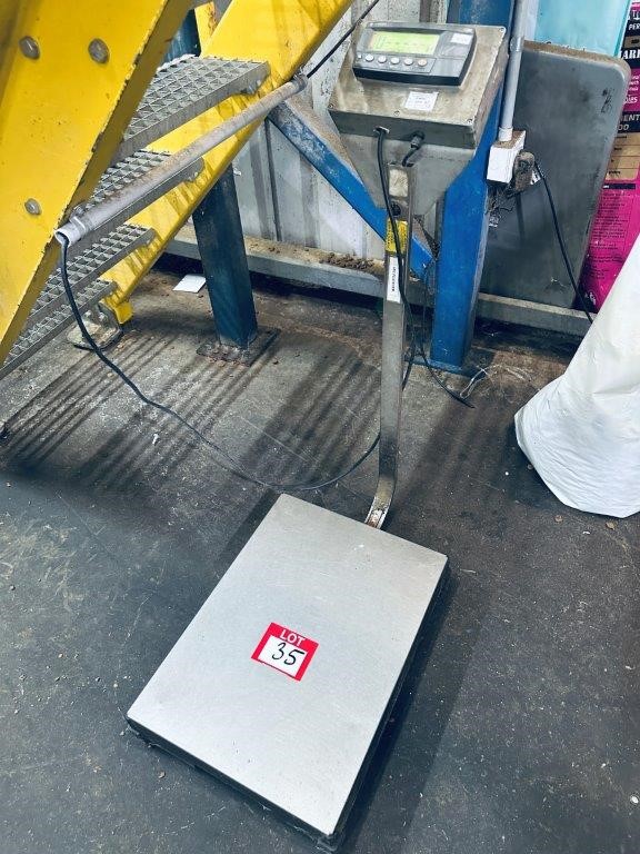 Rinstrum Platform Weighing Unit