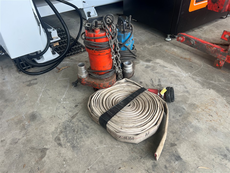 Pumps x2 with Hose x1