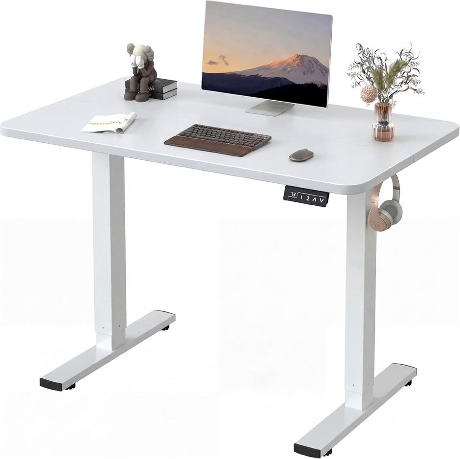 FURMAX Standing Desk Electric Height Adjustable with Memory Preset 120 x 60