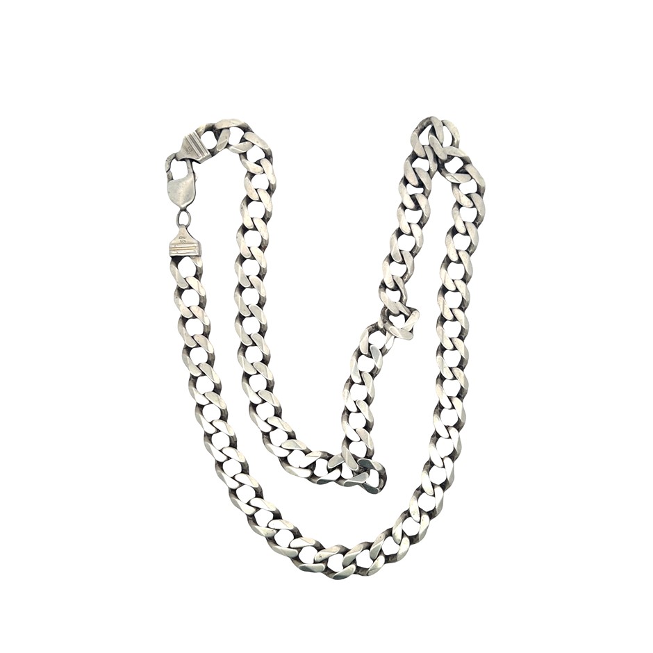 Sterling Silver Curb Link Necklace with Parrot Clasp