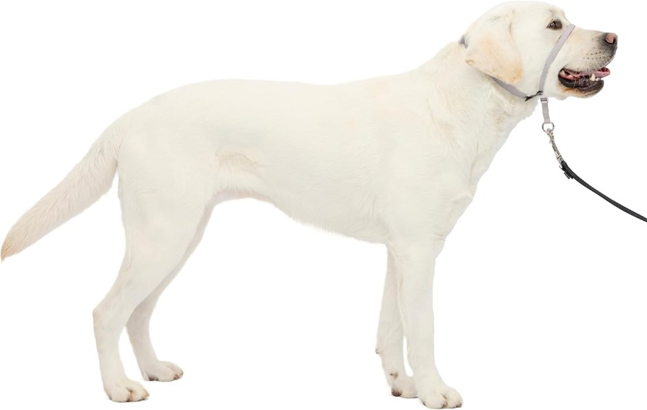 PETSAFE Gentle Leader No-Pull Dog Headcollar