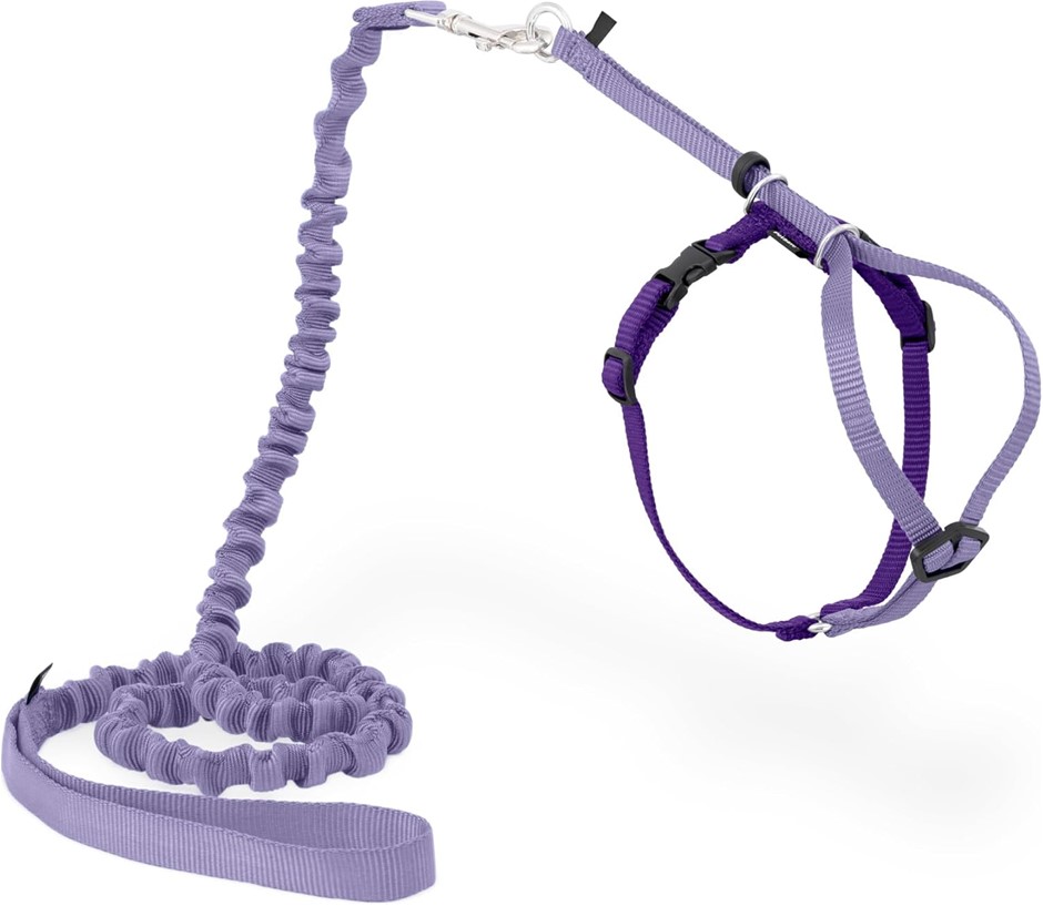 PETSAFE Come with Me Kitty Harness & Bungee Leash, Medium, Lilac.