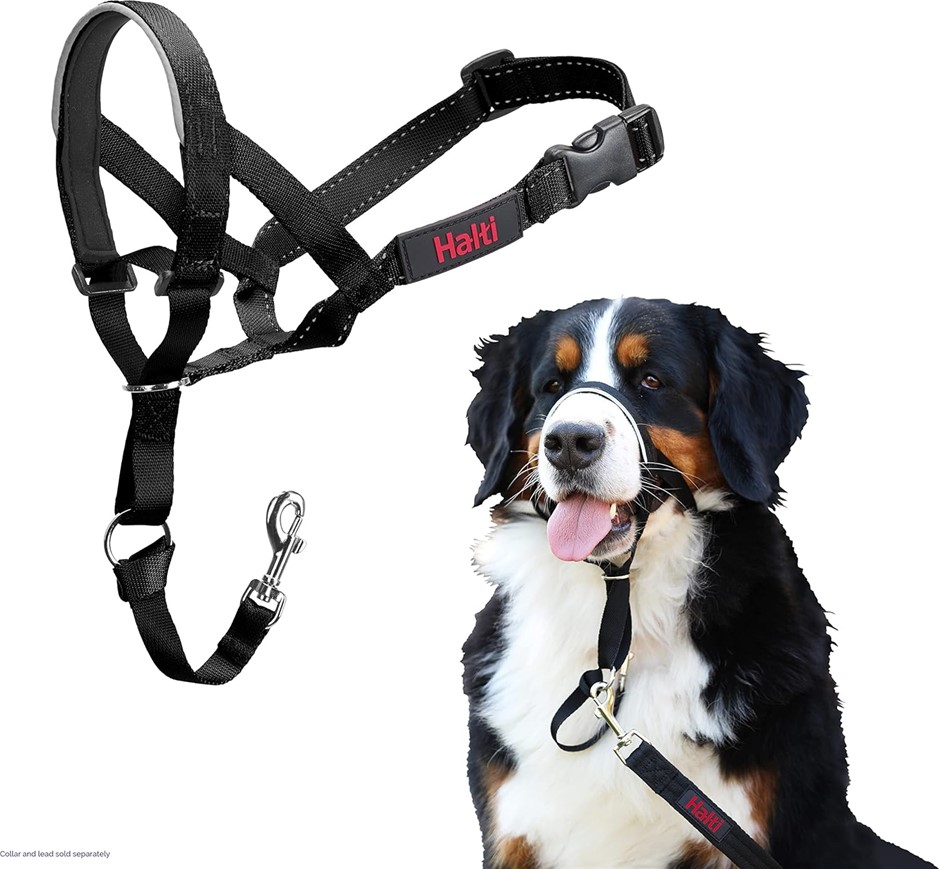 THE COMPANY OF ANIMALS Halti Headcollar, Black, Size 5, 11520A.