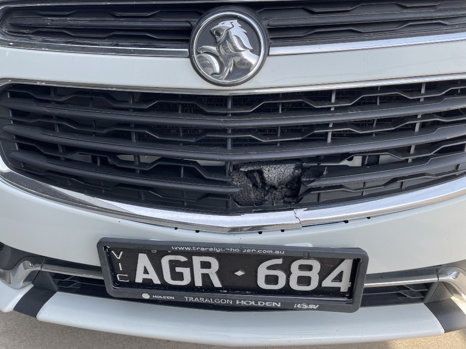 Vehicle photo