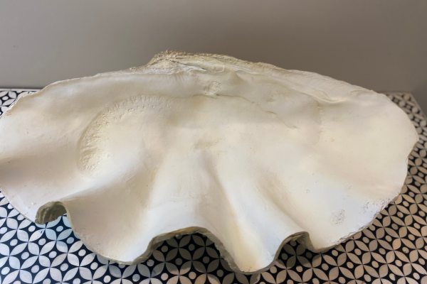 Cream Resin Clamshell Fruit Bowl Décor 52cm Wide NEW Highett VIC pickup