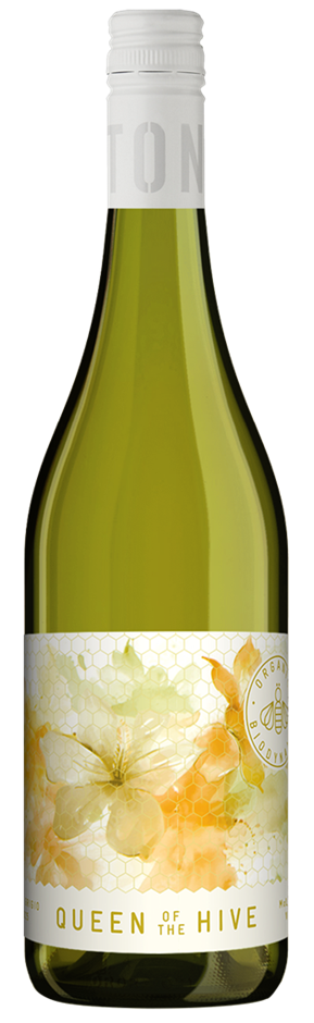 Paxton QOTH Pinot Grigio 2025 (12x 750mL