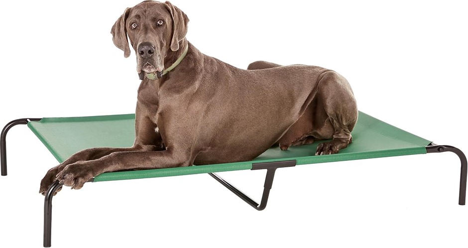 AMAZON BASICS Cooling Elevated Pet Bed, Extra Large (153 x 94 x 23 centimet