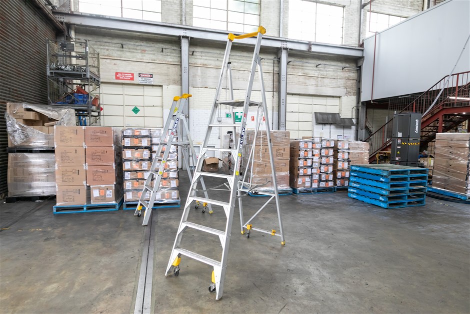 Platform Ladder