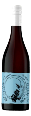 Break Free Enfant de Lune Syrah 2024 (12x 750mL) Frankland River