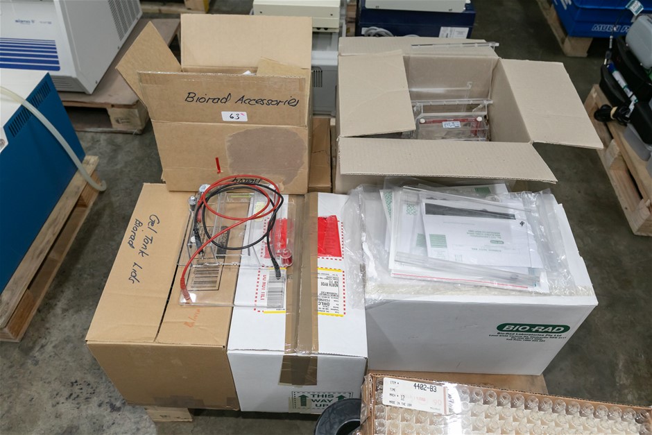 Electrophoresis Equipment