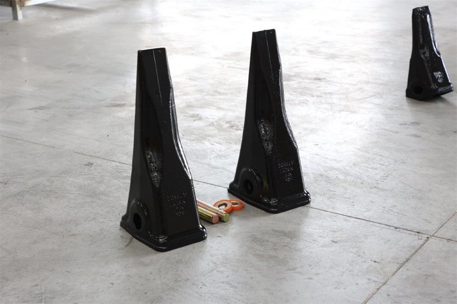 Unused 2026 LYALS 4T5502 Bucket Teeth