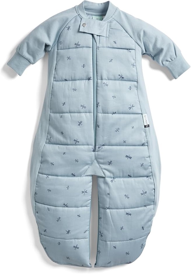 ERGOPOUCH 2.5 TOG 2-in-1 Convertible Sleeping Bag, Size 3-12M, Dragonflies
