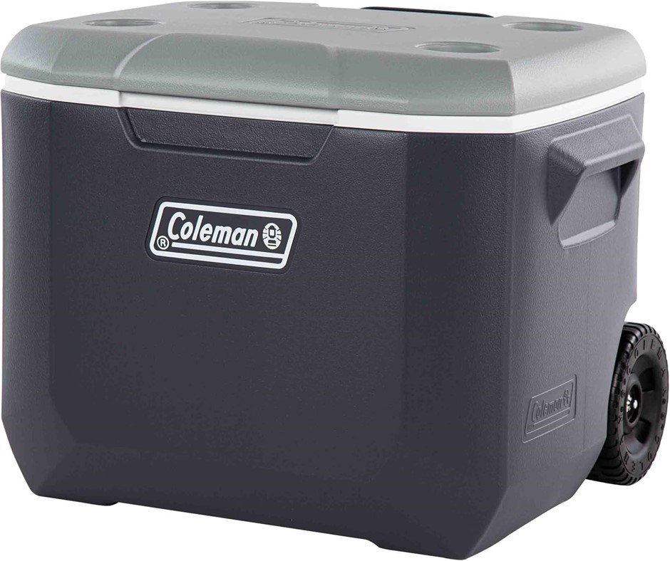 COLEMAN Daintree Cooler | Durable Design, Portable Cooler, Outdoor or Indoo