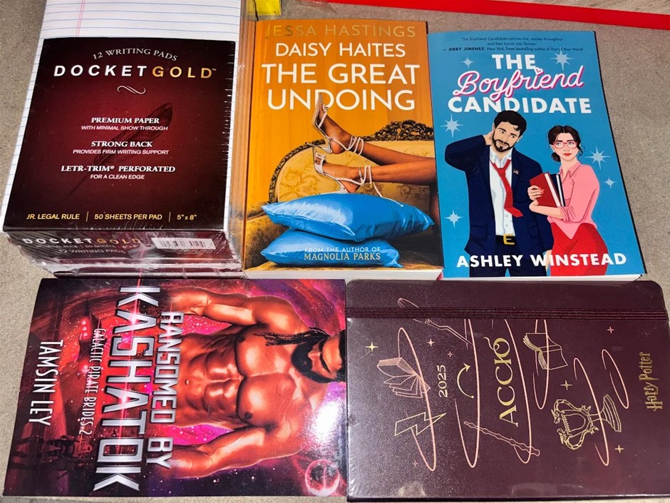 BUNDLE of Assorted Books and stationaries, Daisy Haites: The Great Undoing,