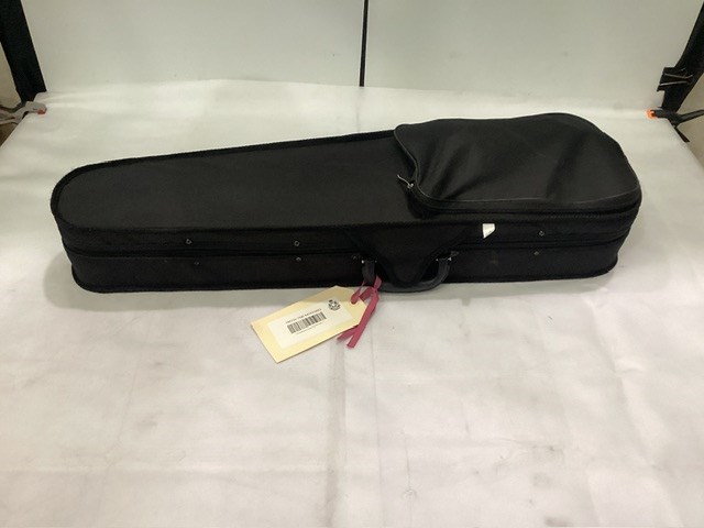 Violin In Case