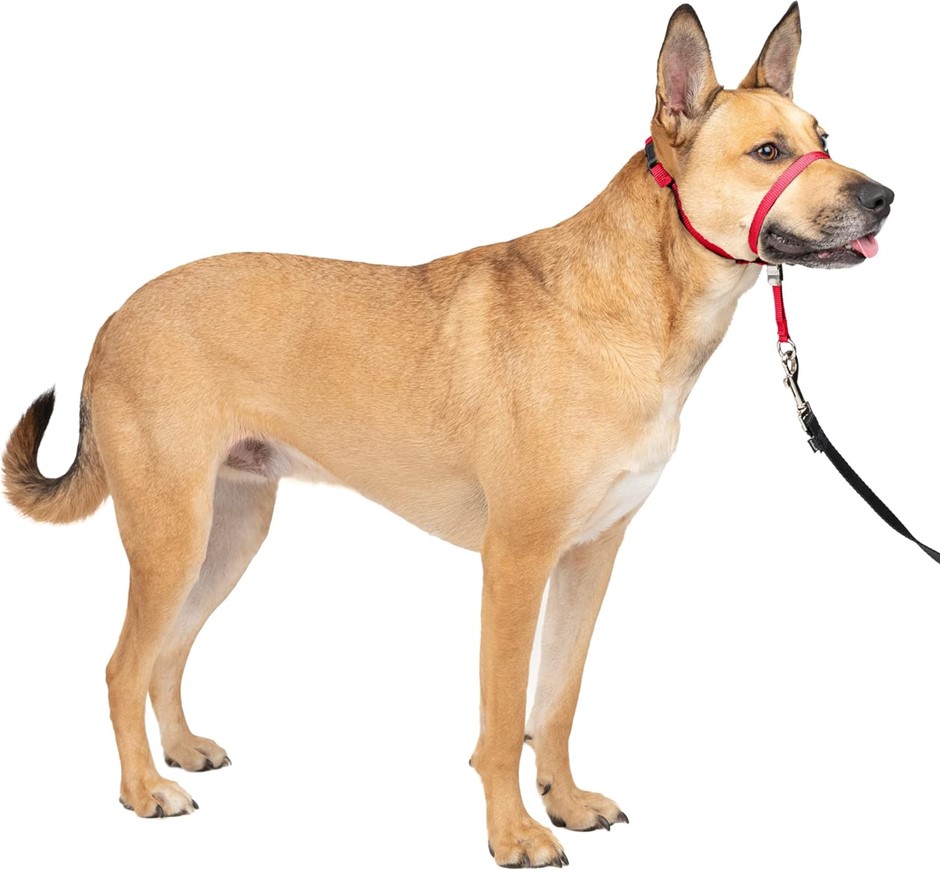 4 x PETSAFE Gentle Leader No-Pull Dog Headcollar, Size Medium, Red.