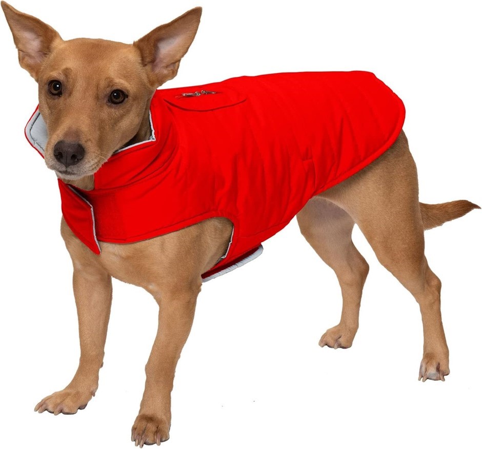 FURHAVEN Water-Repellent & Reversible Small Dog Coat