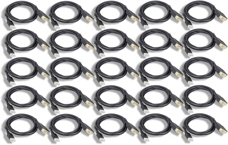 Cablelera DisplayPort to DVI Cable 6ft 30packs