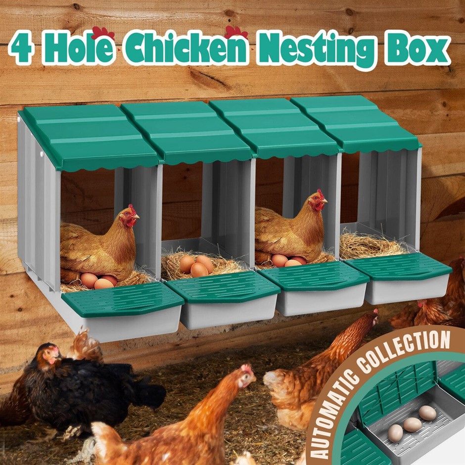 4 Hole Roll Away Chicken Nesting Box Plastic Modular Poultry Coop Green