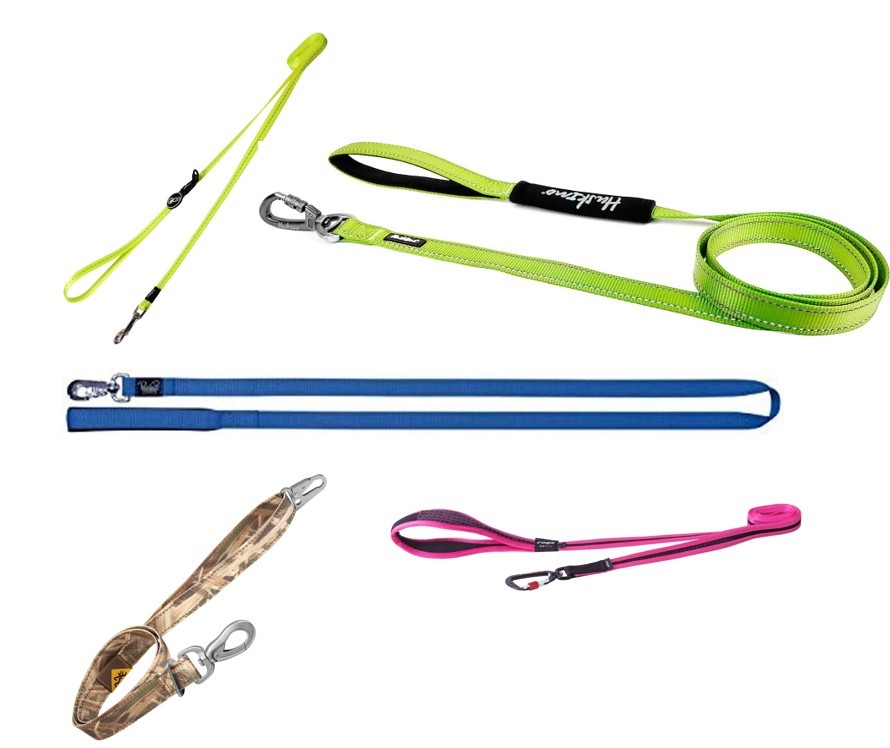 5x Brand New Assorted Dog Leashes