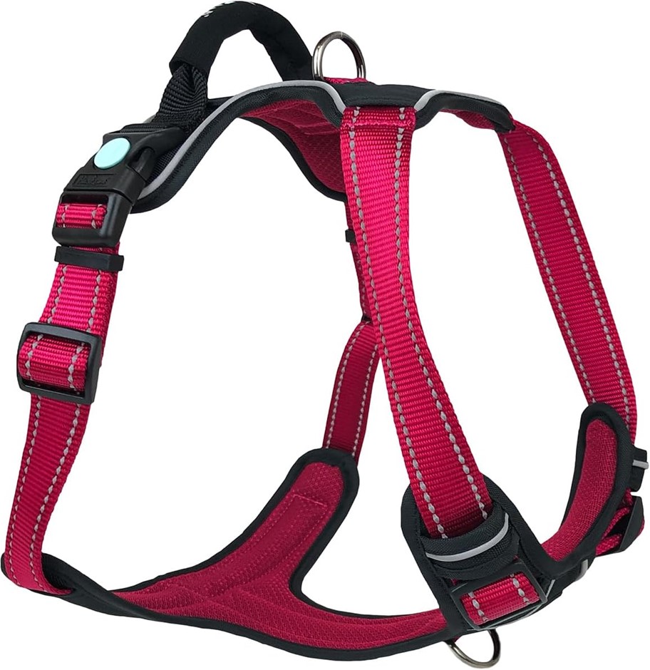 HUSKIMO Ultimate Dog Harness in Uluru - Large