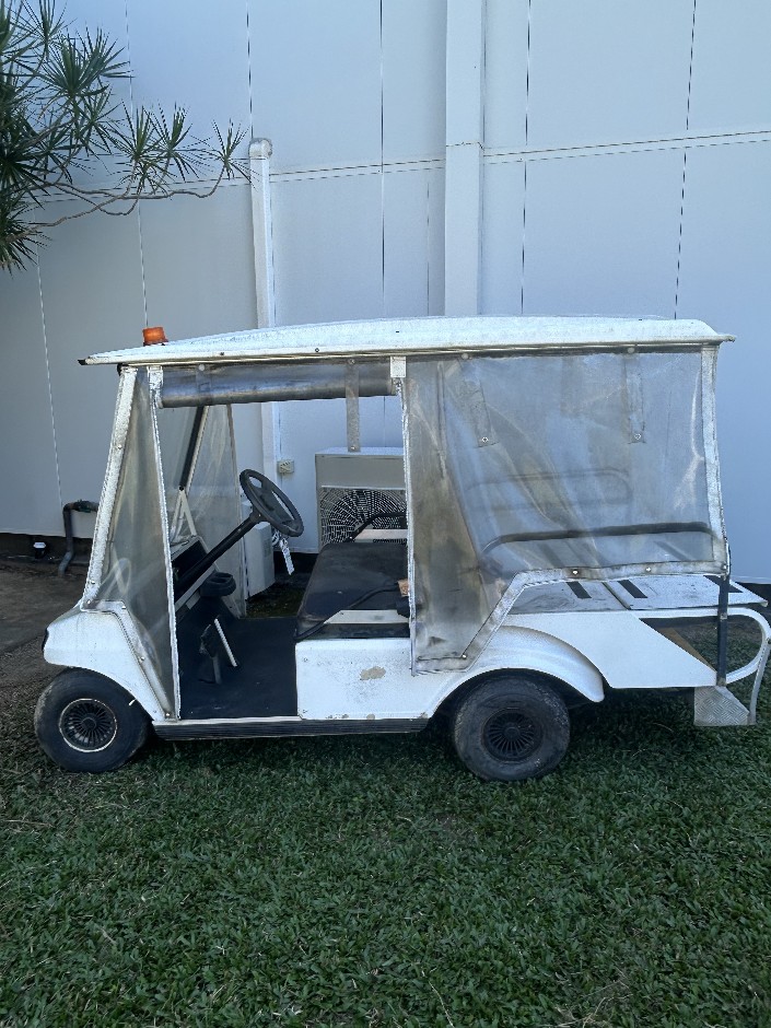 2007 Club Car People Mover Electric Golf Buggy